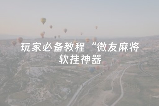 玩家必备教程“微友麻将软挂神器（专用辅牌神器免安装）
