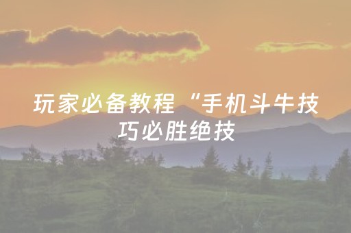 玩家必备教程“手机斗牛技巧必胜绝技（专用辅牌神器免安装）