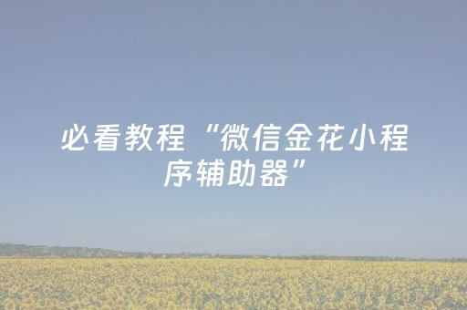 必看教程“微信金花小程序辅助器”（详细透视教程）-哔哩哔哩