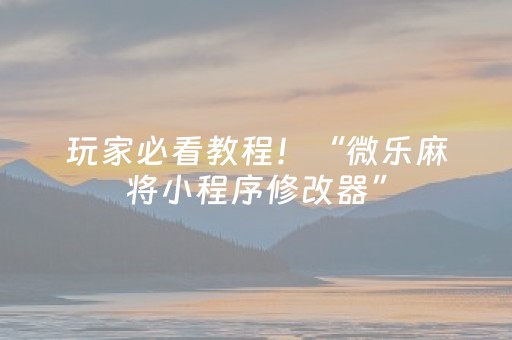 玩家必看教程！“微乐麻将小程序修改器”（详细透视教程）-哔哩哔哩