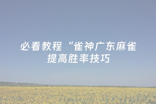 必看教程“雀神广东麻雀提高胜率技巧（专用辅牌神器免安装）
