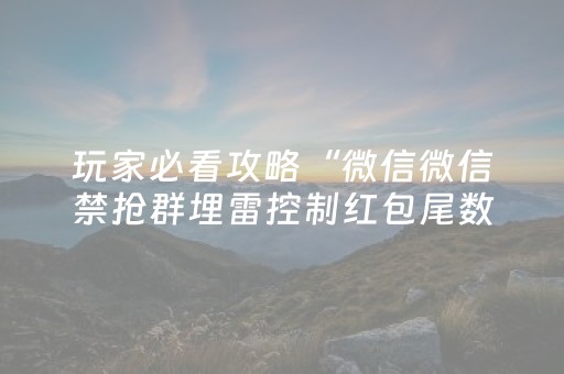 玩家必看攻略“微信微信禁抢群埋雷控制红包尾数软件”（详细透视教程）-哔哩哔哩