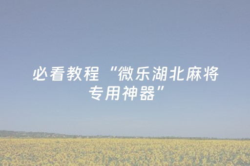 必看教程“微乐湖北麻将专用神器”（详细透视教程）-哔哩哔哩