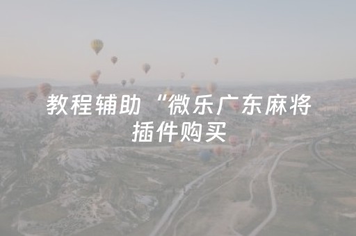 教程辅助“微乐广东麻将插件购买（助赢神器通用版）