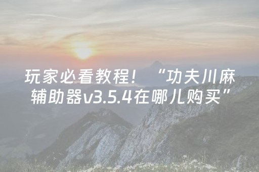 玩家必看教程！“功夫川麻辅助器v3.5.4在哪儿购买”（详细透视教程）-哔哩哔哩