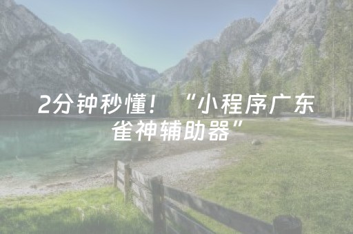 2分钟秒懂！“小程序广东雀神辅助器”（详细辅助教程）-哔哩哔哩