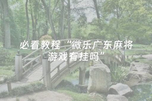 必看教程“微乐广东麻将游戏有挂吗”（详细透视教程）-哔哩哔哩