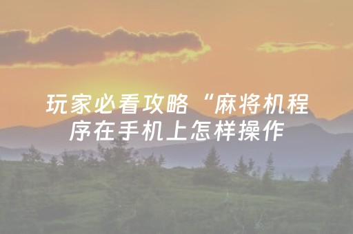 玩家必看攻略“麻将机程序在手机上怎样操作（专用辅牌神器免安装）