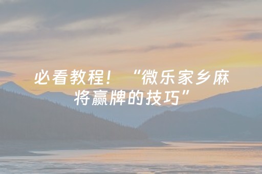 必看教程！“微乐家乡麻将赢牌的技巧”（详细辅助教程）-哔哩哔哩