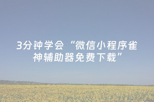 3分钟学会“微信小程序雀神辅助器免费下载”（详细透视教程）-哔哩哔哩