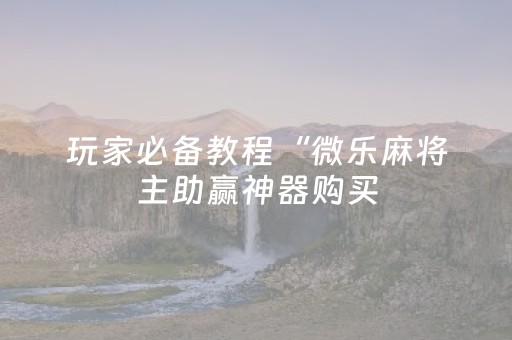 玩家必备教程“微乐麻将主助赢神器购买（专用辅牌神器免安装）