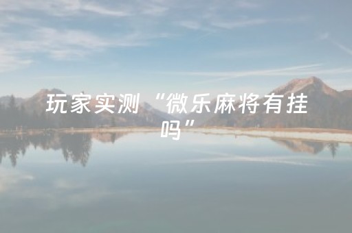 玩家实测“微乐麻将有挂吗”（详细透视教程）-哔哩哔哩