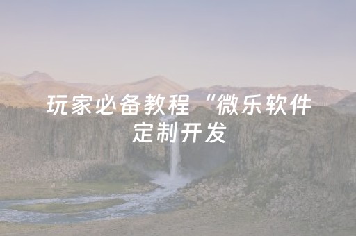 玩家必备教程“微乐软件定制开发（专用辅牌神器免安装）