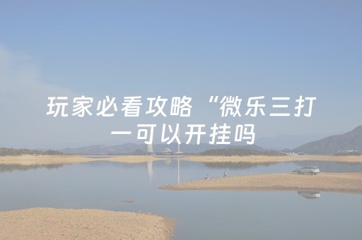 玩家必看攻略“微乐三打一可以开挂吗（助赢神器通用版）
