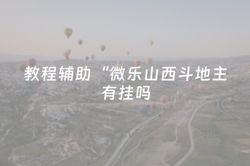 教程辅助“微乐山西斗地主有挂吗（专用辅牌神器免安装）