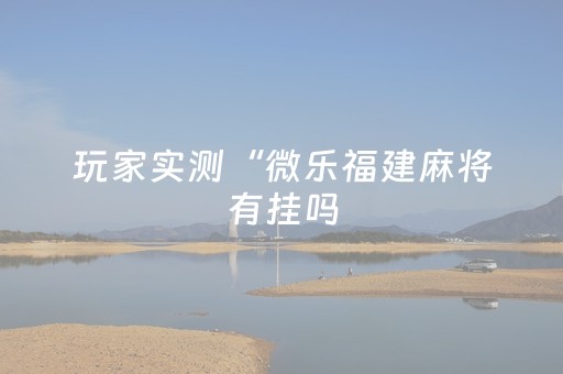 玩家实测“微乐福建麻将有挂吗（专用辅牌神器免安装）