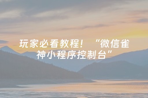 玩家必看教程！“微信雀神小程序控制台”（详细透视教程）-哔哩哔哩