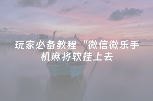 玩家必备教程“微信微乐手机麻将软挂上去（专用辅牌神器免安装）