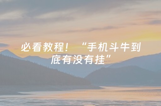 必看教程！“手机斗牛到底有没有挂”（详细辅助教程）-哔哩哔哩