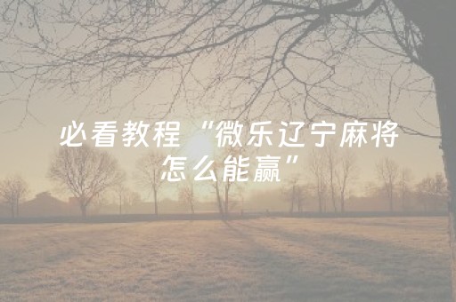 必看教程“微乐辽宁麻将怎么能赢”（详细透视教程）-哔哩哔哩