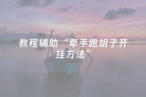教程辅助“牵手跑胡子开挂方法”（详细透视教程）-哔哩哔哩