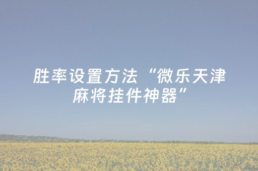 胜率设置方法“微乐天津麻将挂件神器”（详细透视教程）-哔哩哔哩