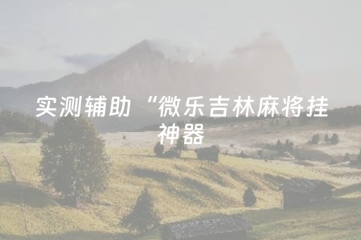 实测辅助“微乐吉林麻将挂神器（助赢神器通用版）