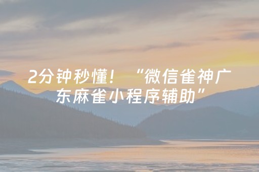 2分钟秒懂！“微信雀神广东麻雀小程序辅助”（详细透视教程）-哔哩哔哩