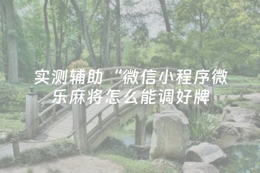 实测辅助“微信小程序微乐麻将怎么能调好牌（专用辅牌神器免安装）
