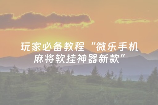 必看教程“程序麻将机软件”（详细透视教程）-哔哩哔哩