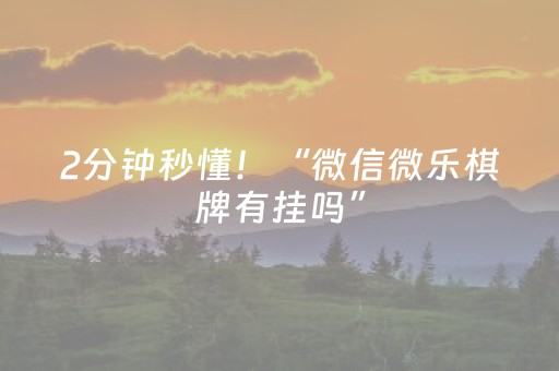 2分钟秒懂！“微信微乐棋牌有挂吗”（详细开挂教程）-哔哩哔哩