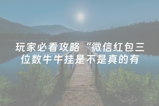 玩家必看攻略“微信红包三位数牛牛挂是不是真的有”（详细透视教程）-哔哩哔哩
