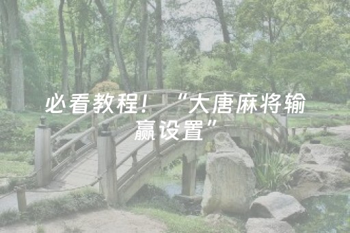 必看教程！“大唐麻将输赢设置”（详细开挂教程）-哔哩哔哩