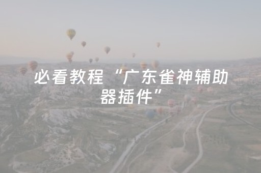 必看教程“广东雀神辅助器插件”（详细透视教程）-哔哩哔哩