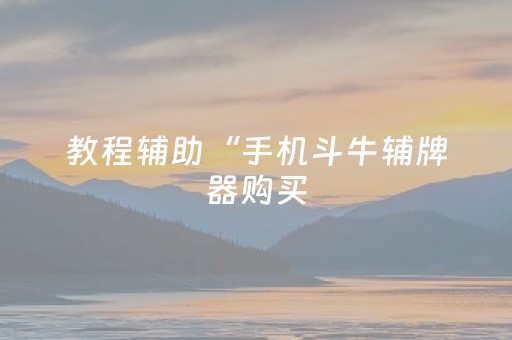 教程辅助“手机斗牛辅牌器购买（助赢神器通用版）