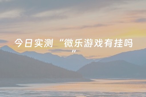 今日实测“微乐游戏有挂吗”（详细透视教程）-哔哩哔哩