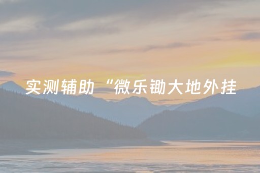 实测辅助“微乐锄大地外挂（助赢神器通用版）