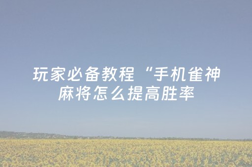 玩家必备教程“手机雀神麻将怎么提高胜率（专用辅牌神器免安装）
