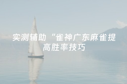 实测辅助“雀神广东麻雀提高胜率技巧（专用辅牌神器免安装）