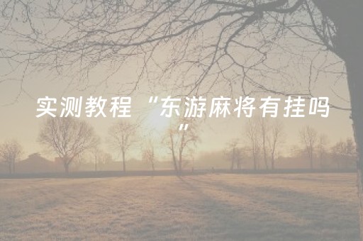 实测教程“东游麻将有挂吗”（详细透视教程）-哔哩哔哩