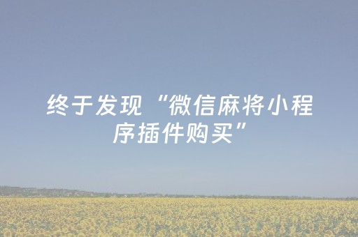 终于发现“微信麻将小程序插件购买”（详细透视教程）-哔哩哔哩