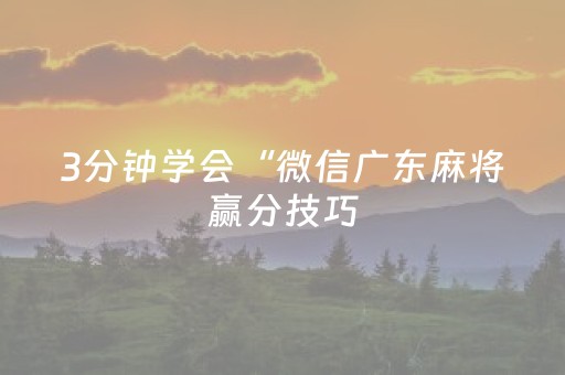 3分钟学会“微信广东麻将赢分技巧（助赢神器通用版）