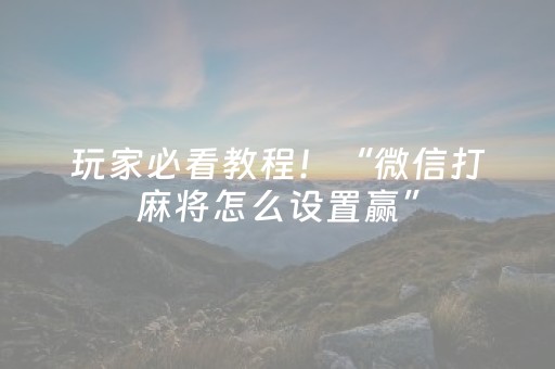玩家必看教程！“微信打麻将怎么设置赢”（详细开挂教程）-哔哩哔哩