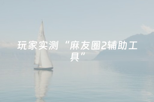 玩家实测“麻友圈2辅助工具”（详细透视教程）-哔哩哔哩