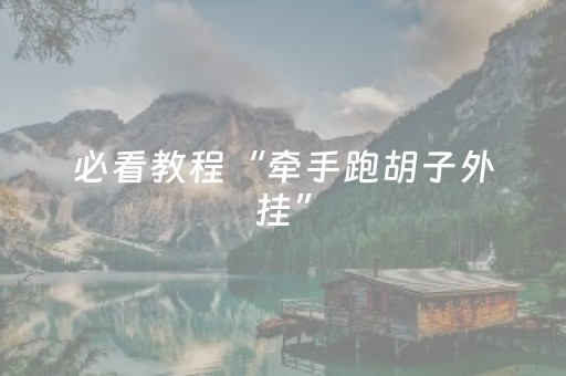必看教程“牵手跑胡子外挂”（详细透视教程）-哔哩哔哩