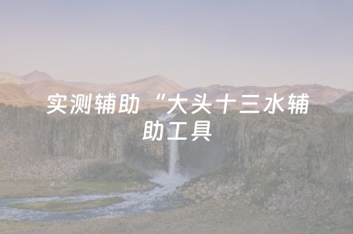 实测辅助“大头十三水辅助工具（助赢神器通用版）