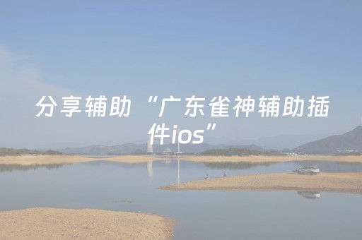 教程辅助“开心十三张辅助ios版（助赢神器通用版）