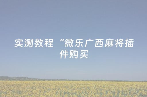实测教程“微乐广西麻将插件购买（专用辅牌神器免安装）