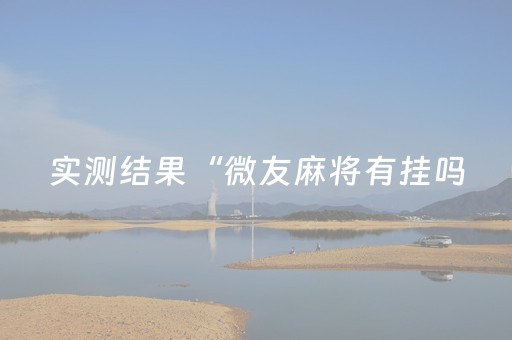 实测结果“微友麻将有挂吗（助赢神器通用版）