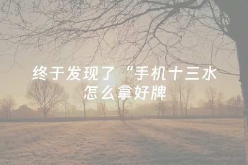 终于发现了“手机十三水怎么拿好牌（助赢神器通用版）
